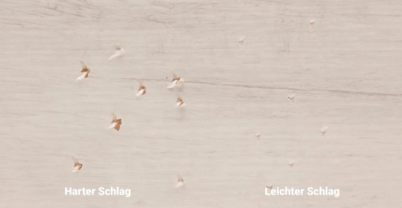 Laminat Klasse 32 nach dem Hammer-Test: harte und leichte Schläge haben die Oberfläche durchschlagen, der braune Holzfaserträger ist sichtbar