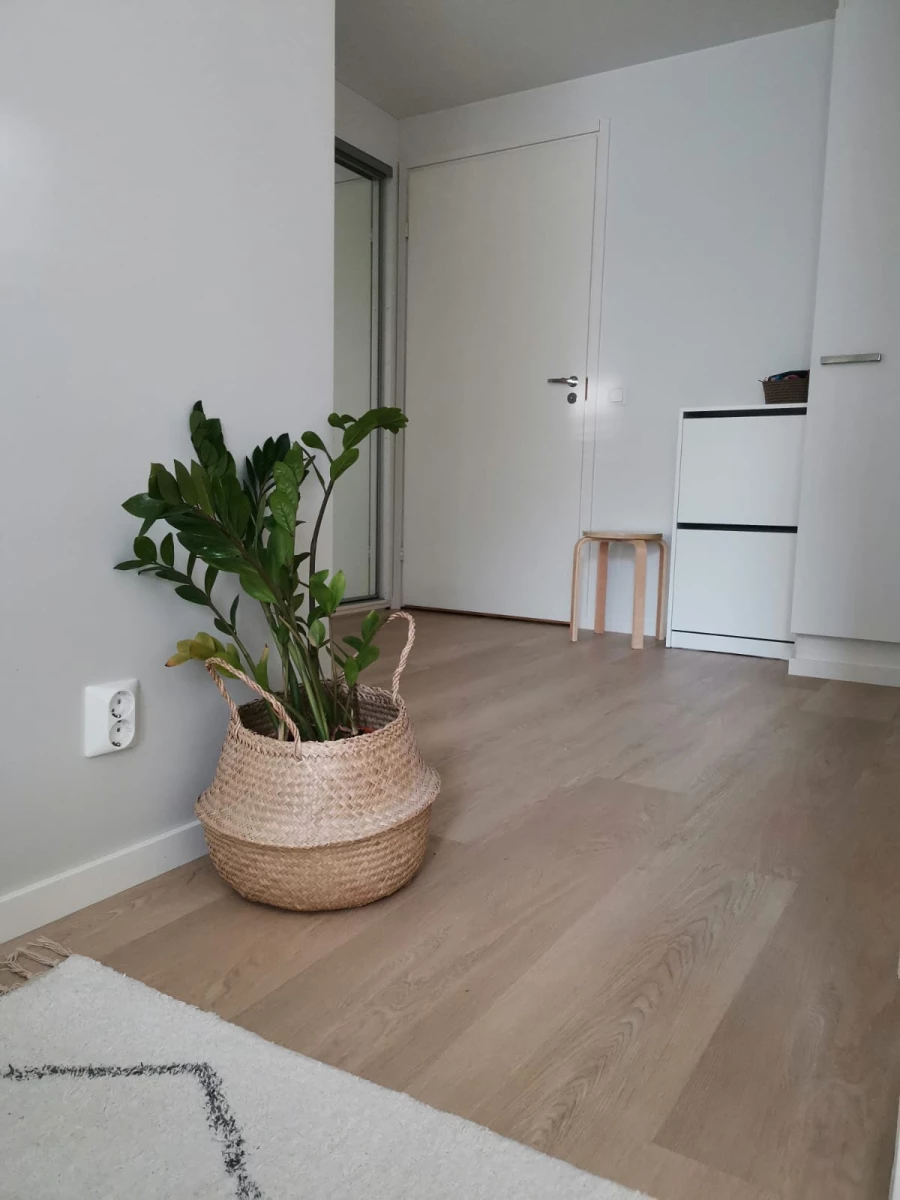 Flur mit weißen Türen, Pflanze im Korb und Vinylboden in heller Eichenoptik (KI-generierte Visualisierung)